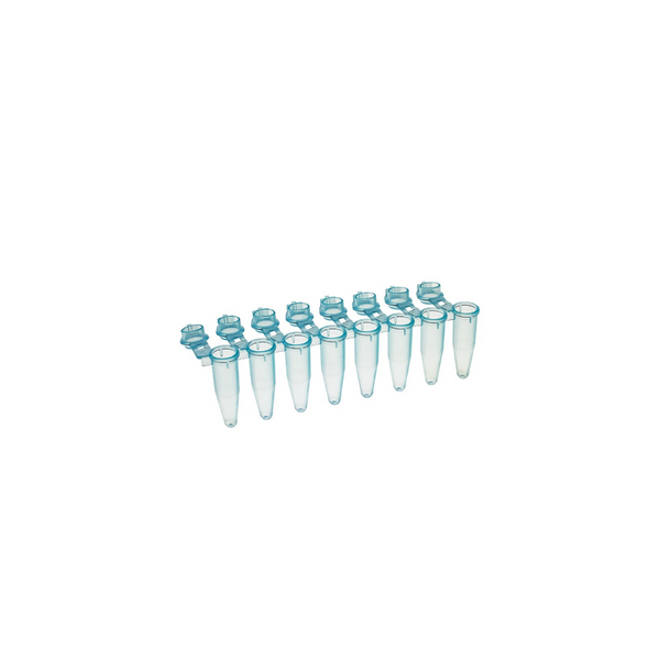 SIMPORT AMPLITUBE PCR REACTION STRIPS - Reaction Strip with Attached Individual Caps, Dome Cap, Blue, 125/cs