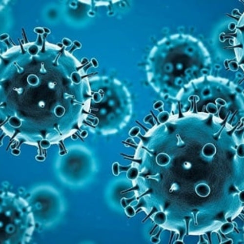 Part 1: Coronavirus in the Histology Laboratory