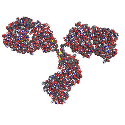 Immunohistochemistry Educational Series #4: Antibodies