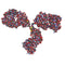 Immunohistochemistry Educational Series #4: Antibodies