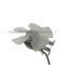 Fan Motor Assy. For Leica Cryostats