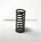 D9-28-0021 Spring (Old Style Manifold) (USED) - Sakura VIP 5