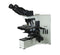Olympus BX40 Microscope