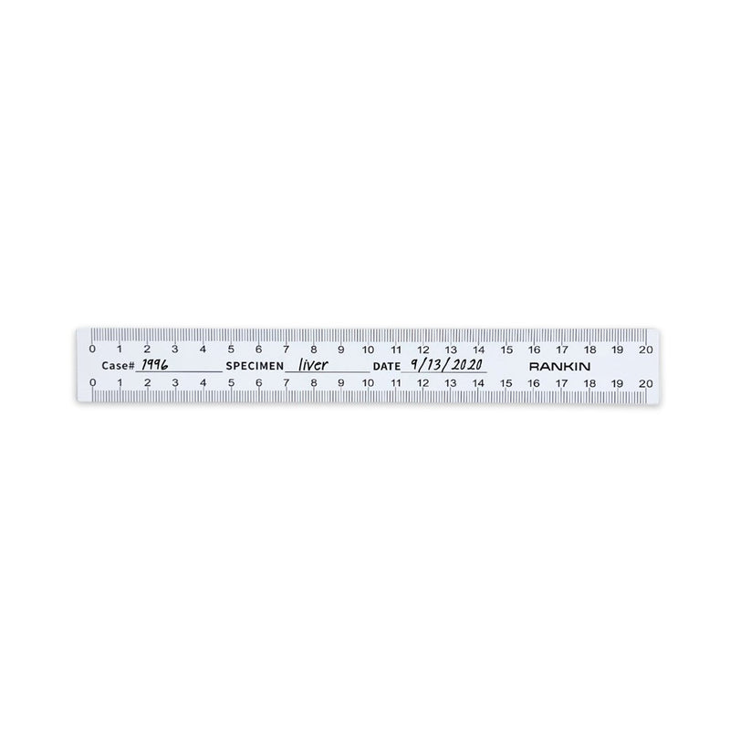 Disposable Paper Rulers, 20cm (Pack of 50)