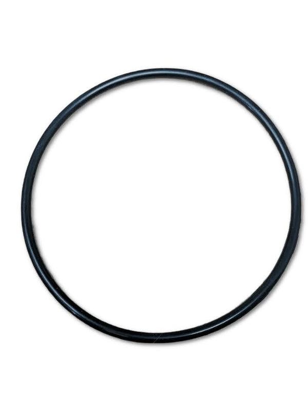 Waste Bottle O-ring - Cytyc ThinPrep 2000 (50038-006)