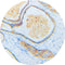 Control Slides, Her2 (2 pieces of tissue)