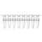 0.2mL 8-Strip Tubes, with Separate 8-Strip Clear Flat Caps, Natural