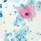 EA-65 Papanicolaou Stain