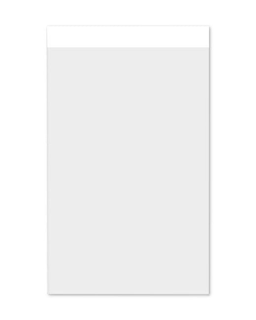 Large Microscope Slides, 2x3" (Box of 100)