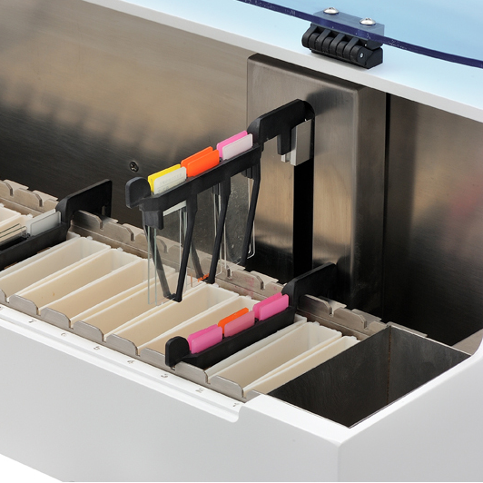 Rankin Basics Automated Linear Slide Stainer