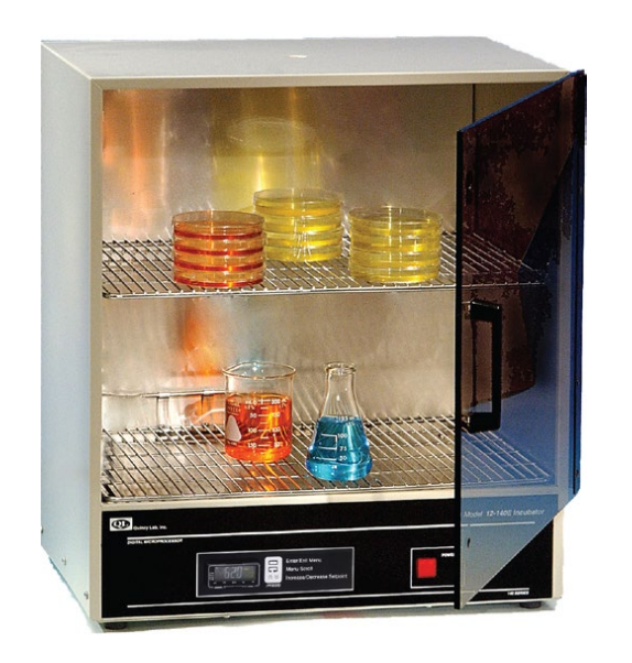 Digital Incubators