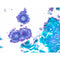 PAS Stain Kit, for Fungus, Volume Optimized