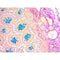 Colloidal Iron Stain Kit, Muller-Mowry), Volume Optimized