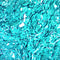 GMS Stain Kit (Modified Gomori's)