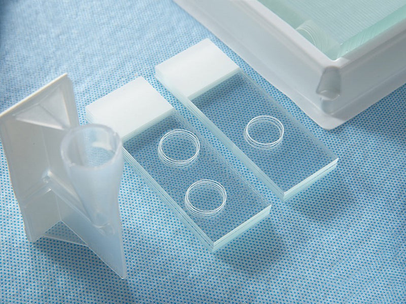 Histobond + Adhesive Microscope Slides, 1 Ring White