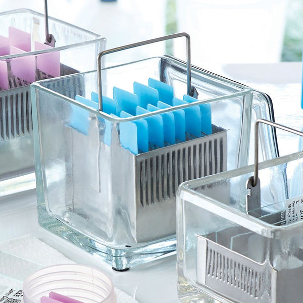 Glass Slide Stain Dishes