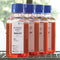 PureView Eosin, Phloxine