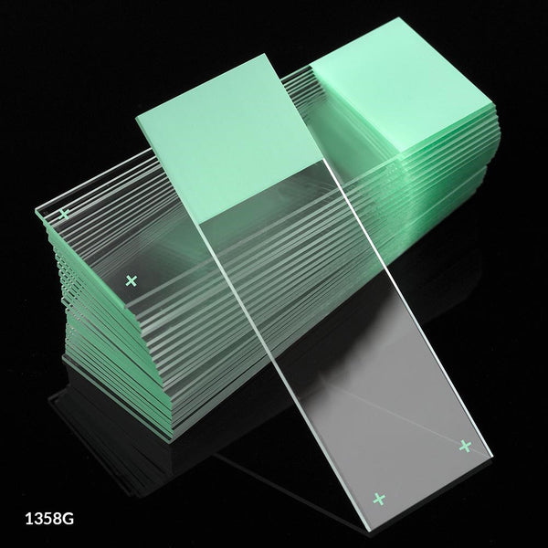 Globe Scientific - 	Microscope Slides, Diamond White Glass, 25 x 75mm, Charged, 90° Ground Edges, Green Frosted