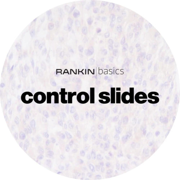 Rankin Basics Control Slides, Special Stain - copper; Rhodamine stain